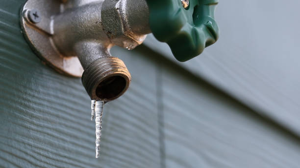 Best Plumbing Services Near Me  in Rockwood, TN